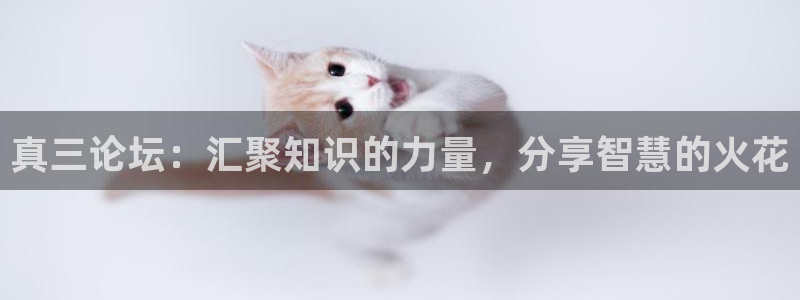 真三论坛：汇聚知识的力量，分享智慧的火花